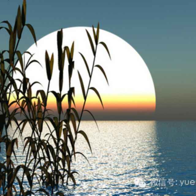 月朗风清q44931540头像