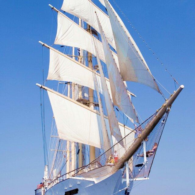 沧海一粟146523785头像