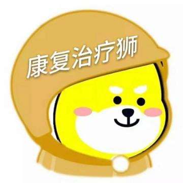 物理治疗师——何楠头像