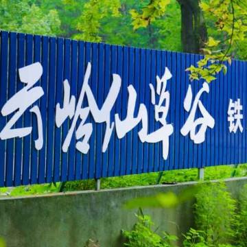 云岭仙草谷头像