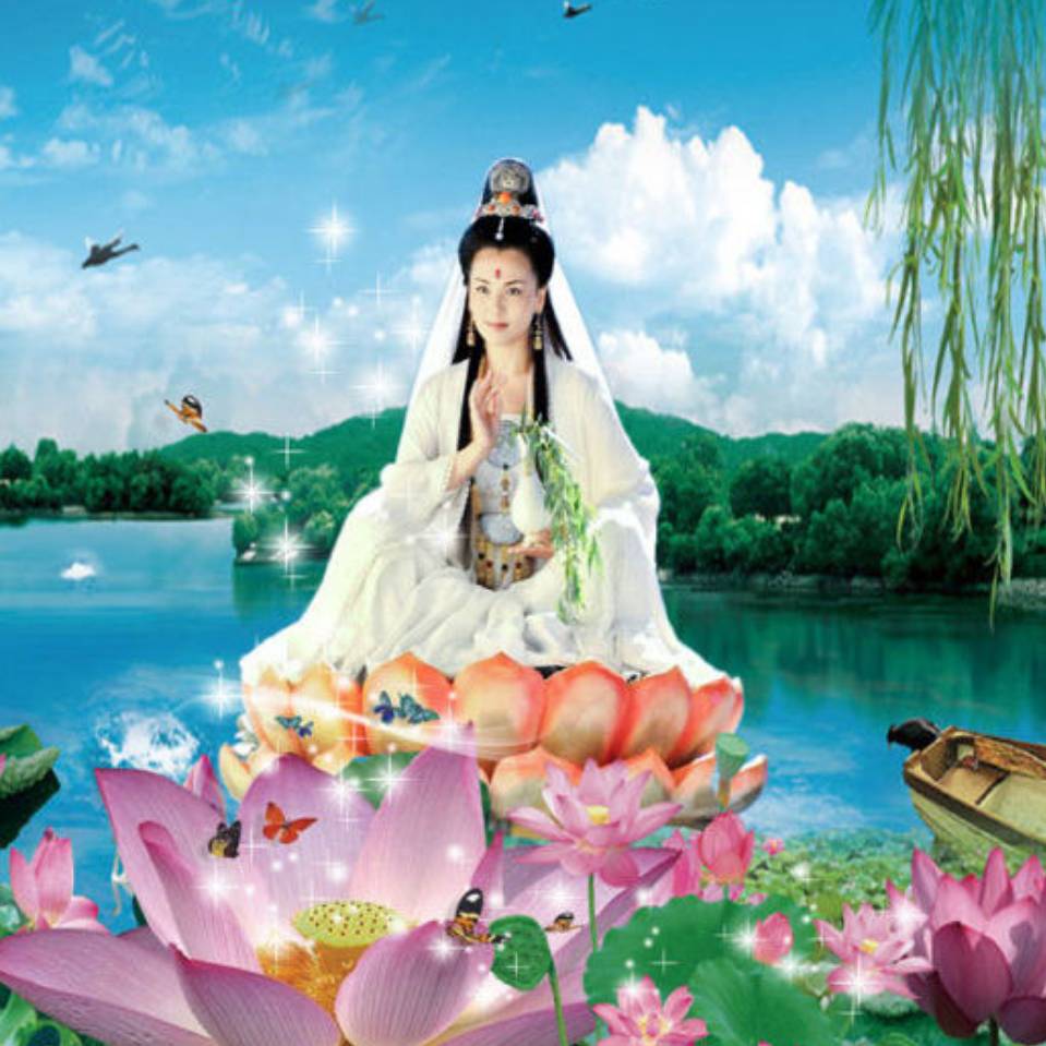 莲花盛开9072头像