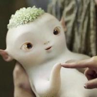 杨春头像
