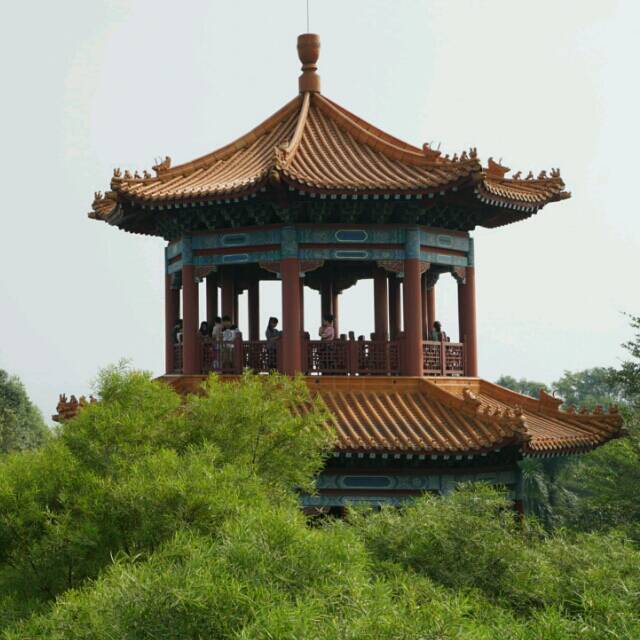 隔山望海网名创始人头像