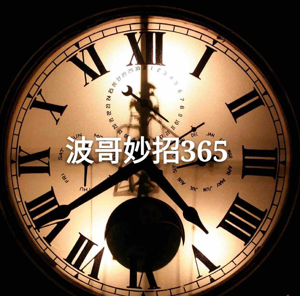 波哥妙招365头像