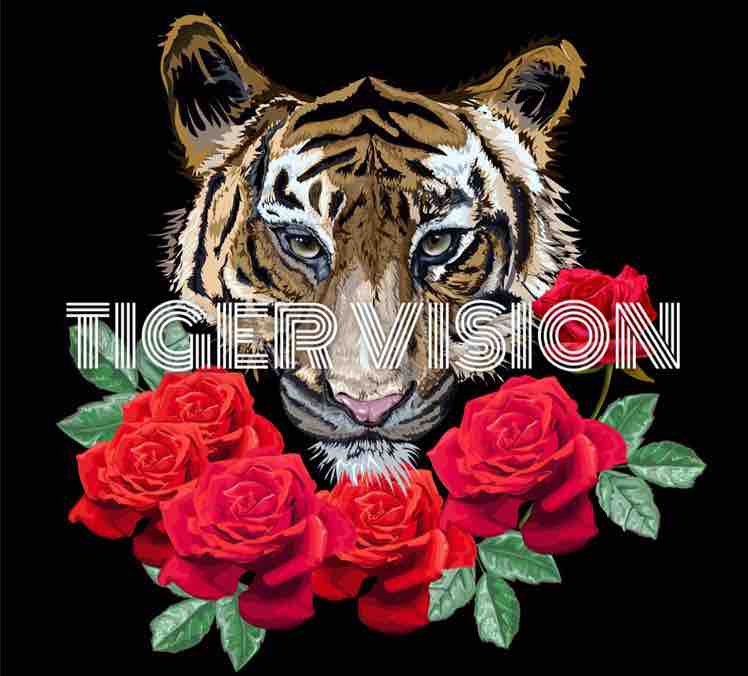 TigerVision头像