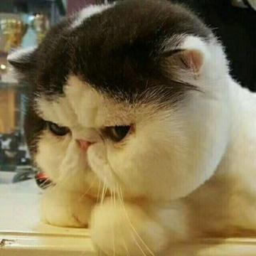 有趣生活杂货铺头像