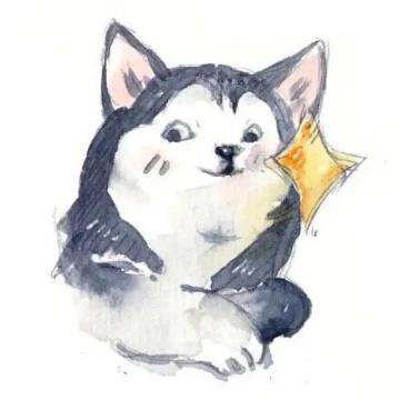 扶摇君头像