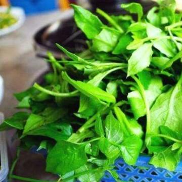逆流而上的小舟头像