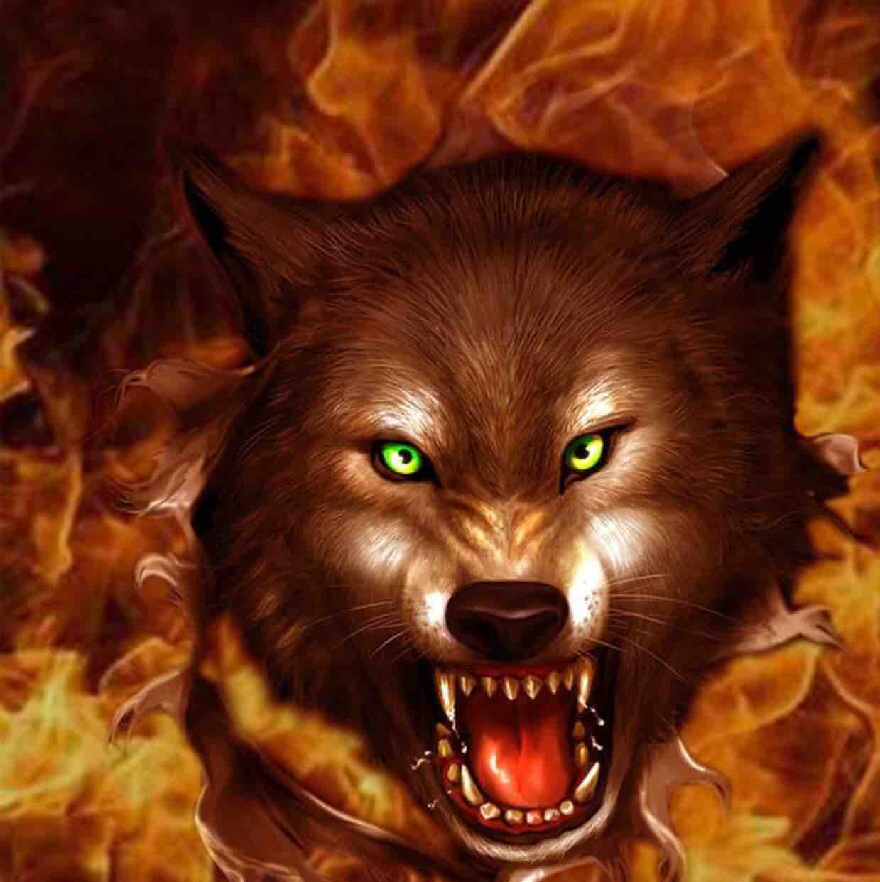 昨夜春风乱我心头像