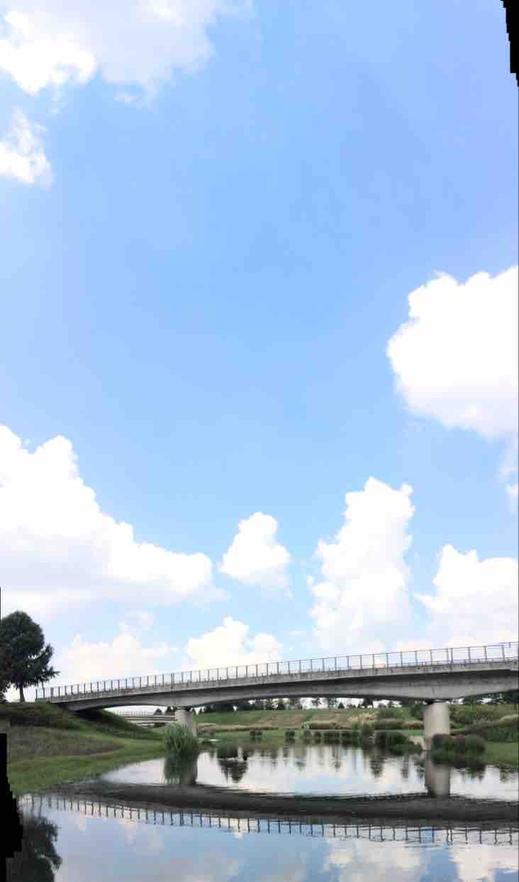 盛星头像
