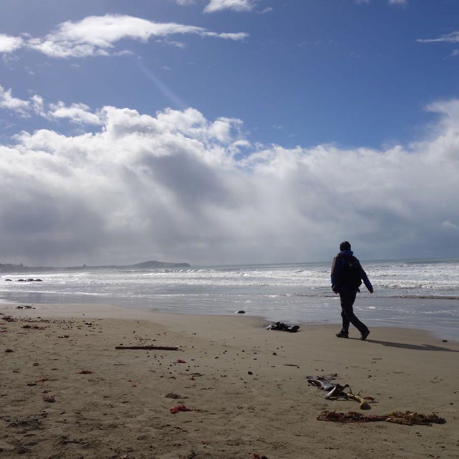 老马识途之看世界头像