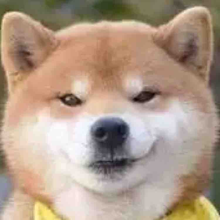 姜鼗鼗头像
