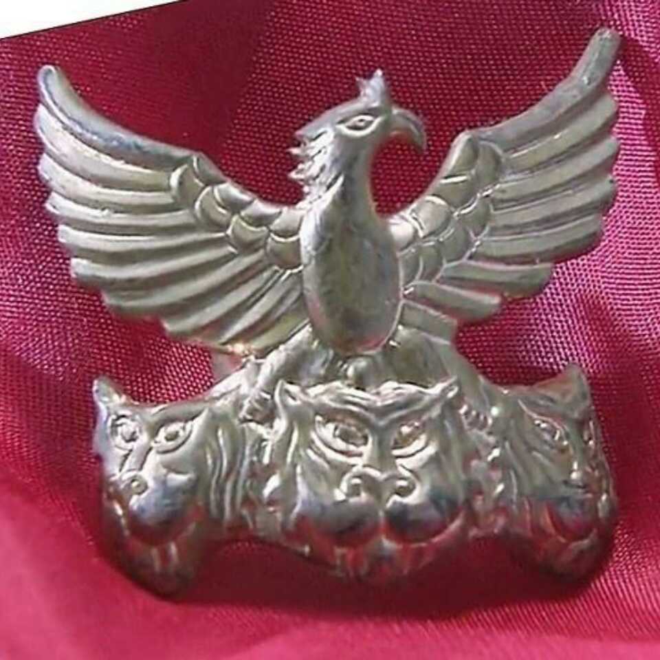 虎头飞鹰857头像