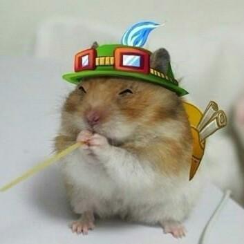 团砸不似胖子头像