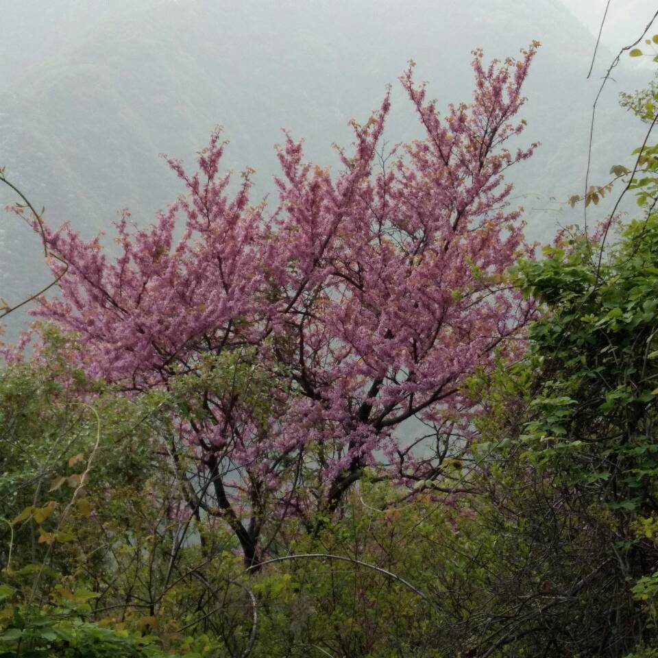 春雨1721892135911頭像