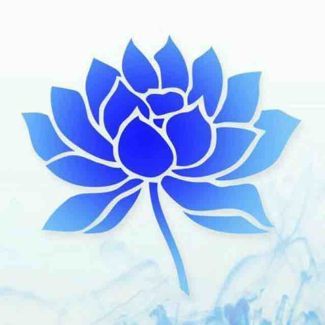 钛钴头像