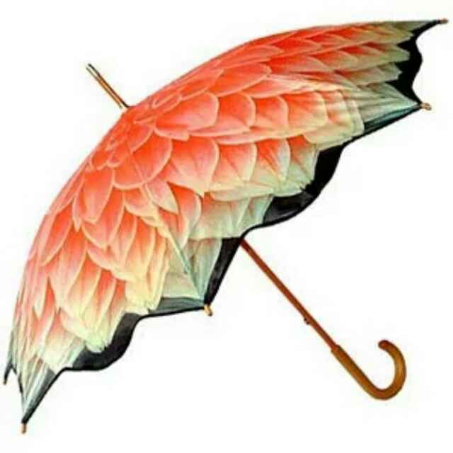 雨伞144888676头像