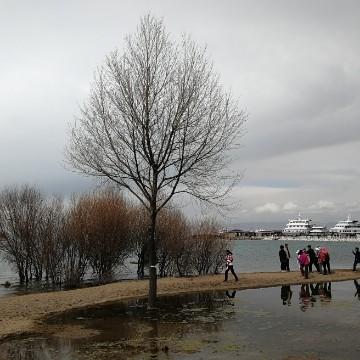 森森和达达头像