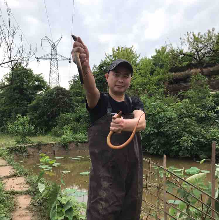 安岳柠檬哥打野头像