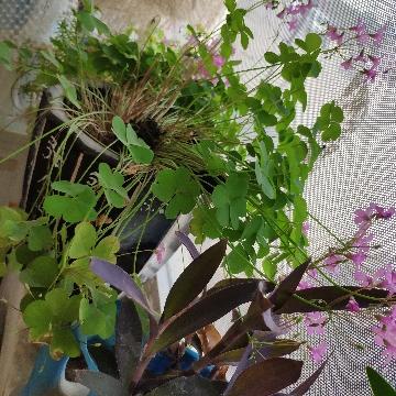 宇哥爆料头像