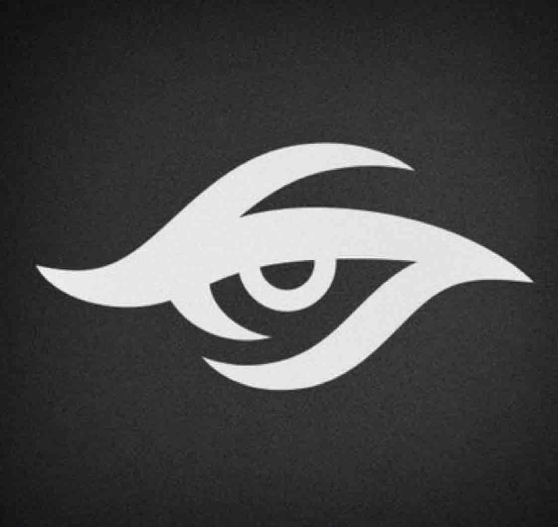 teamsecret秘密战队