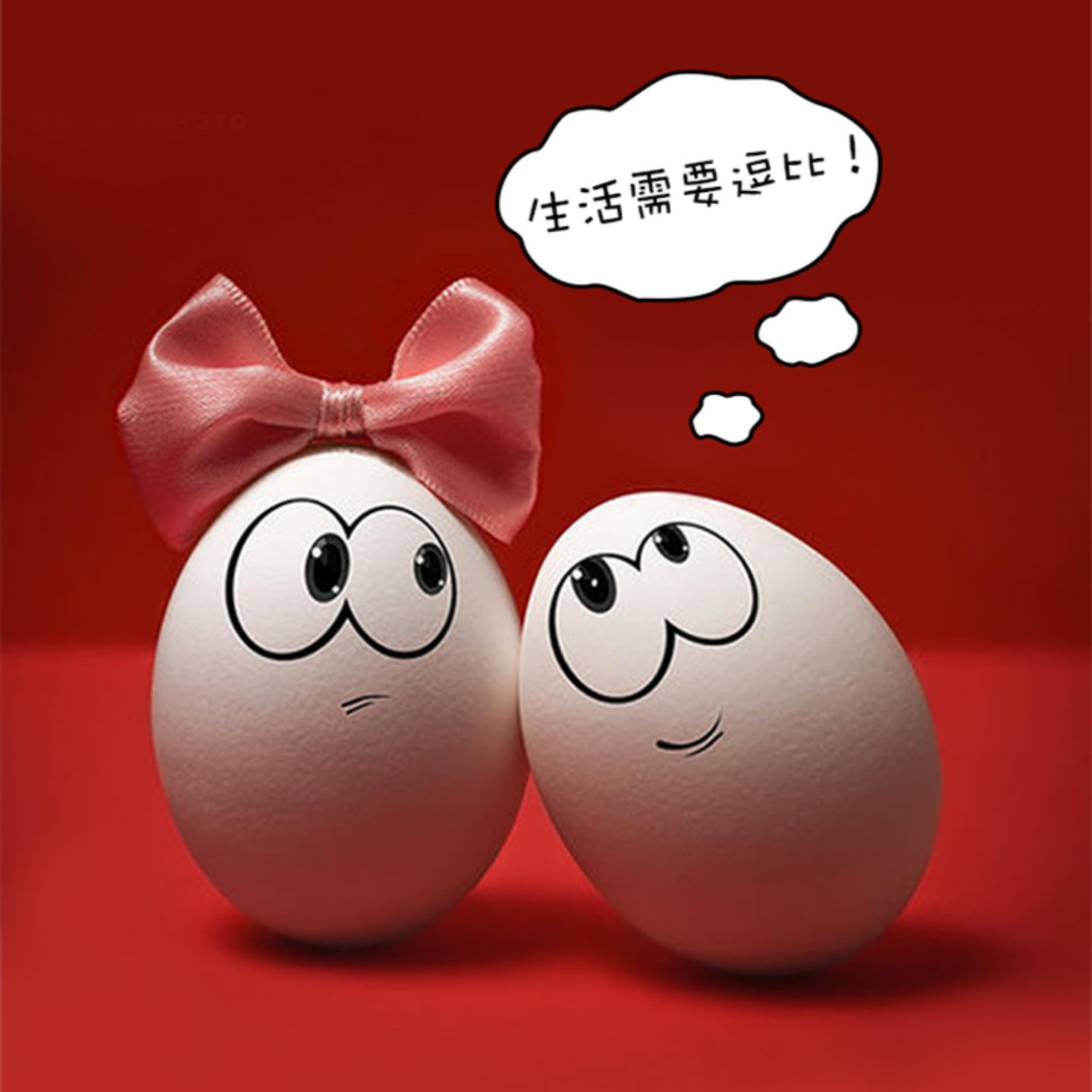 圈家那点事头像