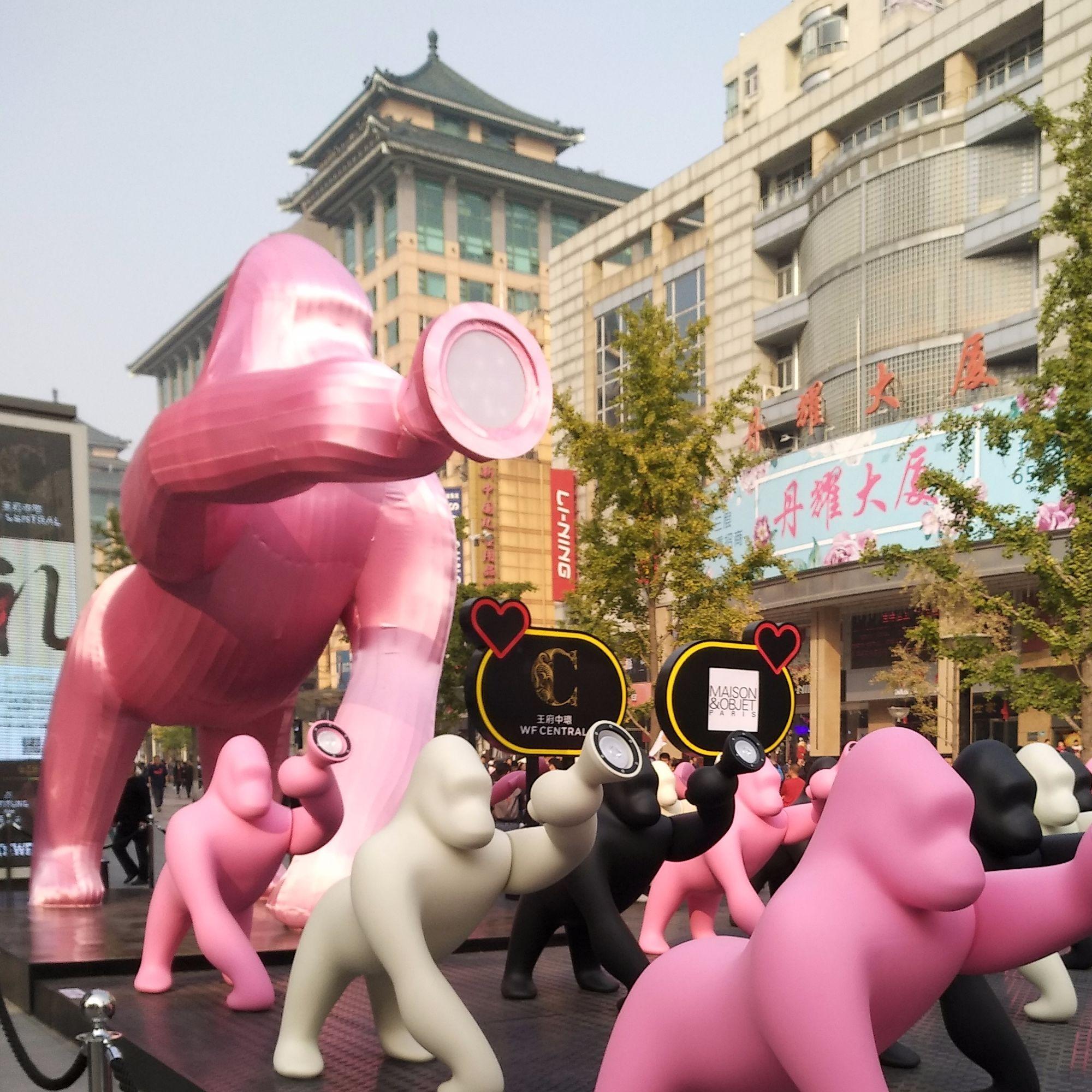 小月君呀头像