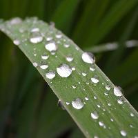 雨后的早上头像