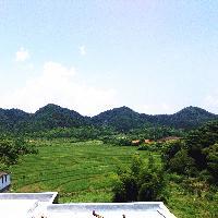 缘遇青山头像