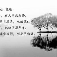 忘却了丢下头像