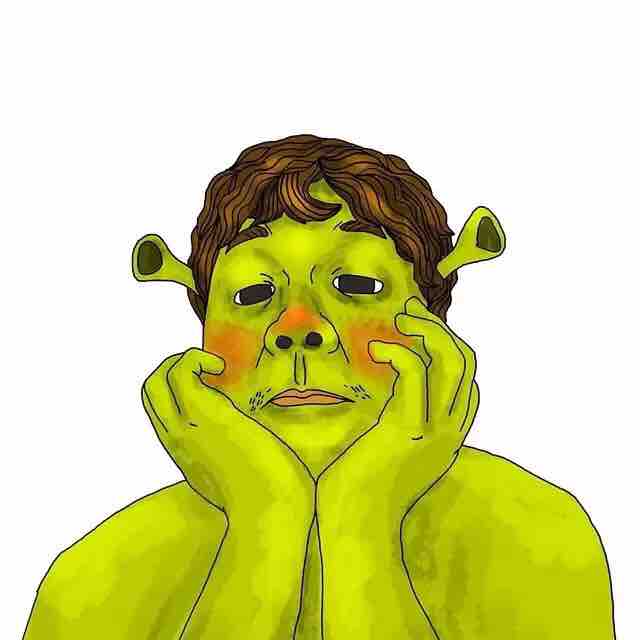 etc怪物史莱克头像