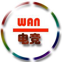WAN电竞头像