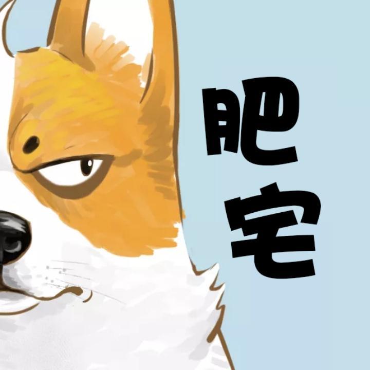 快乐肥宅科技头像