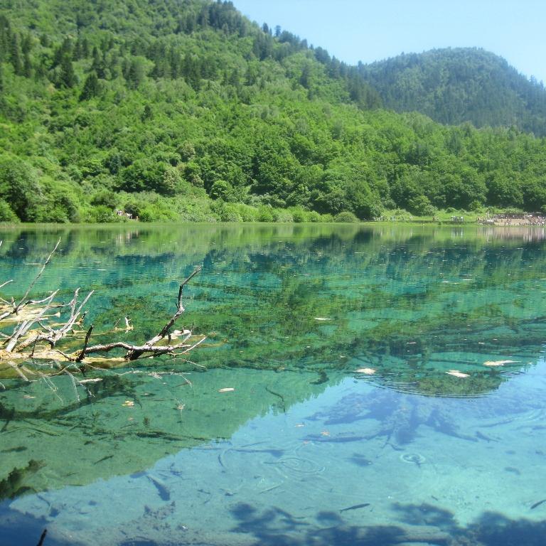 复活甲额滴神头像