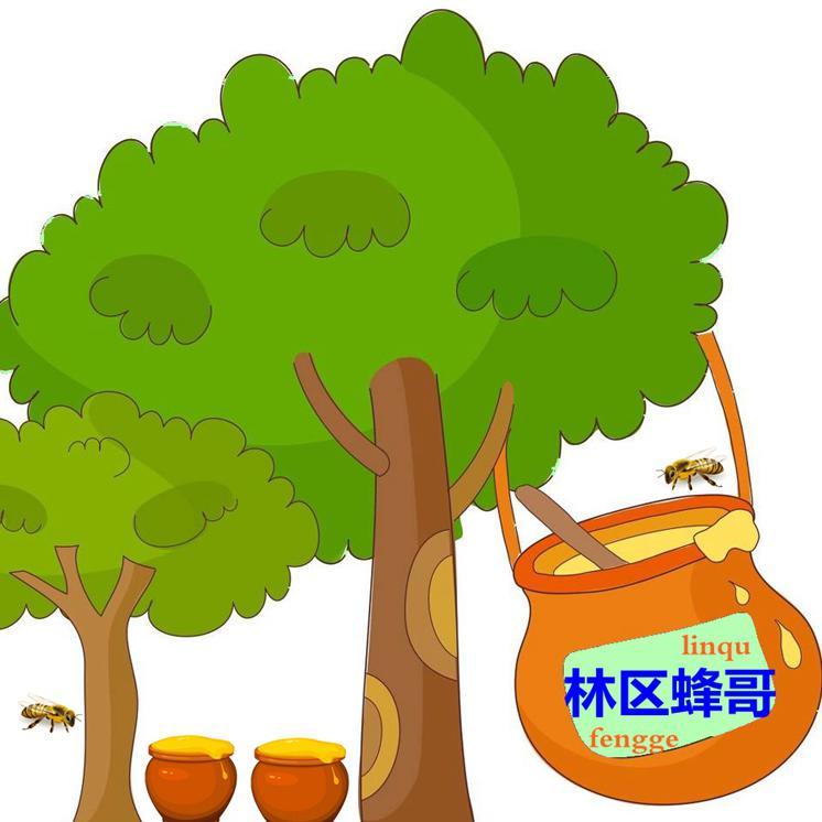林区蜂哥头像