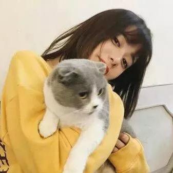小喵讲电影头像