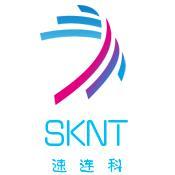 速科网络SKNT头像