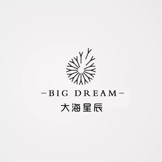 大梦想大海星辰头像