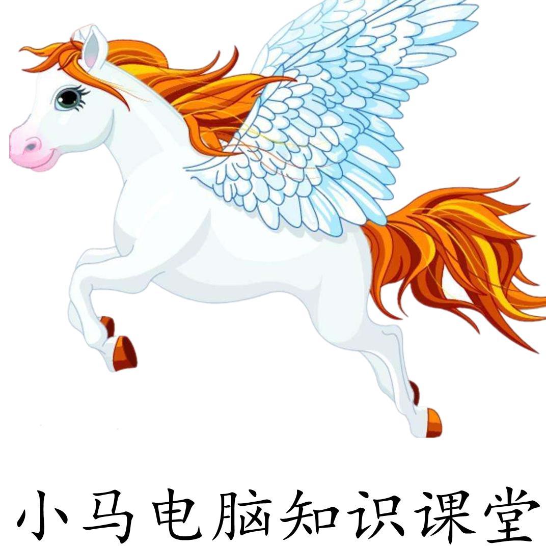 小马电哥哥不帅头像