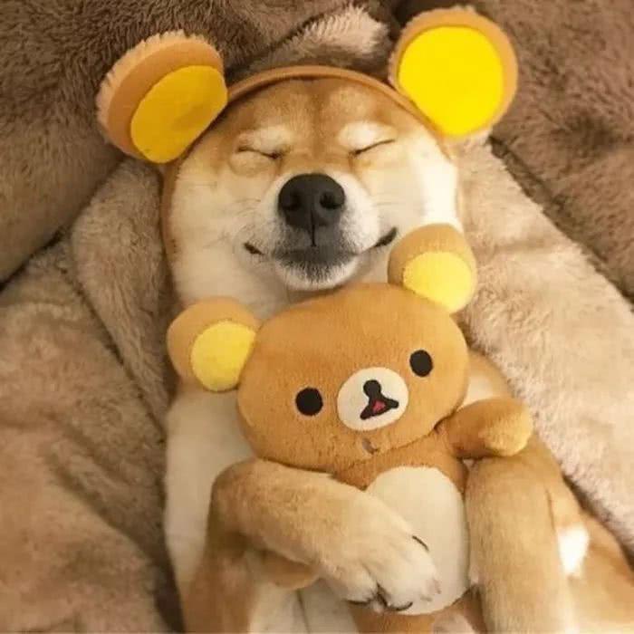 看看《爱情恰恰》就明白了,幽默逗趣 - 西瓜视频