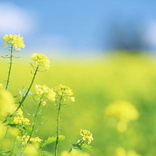 生活自带节奏呀头像