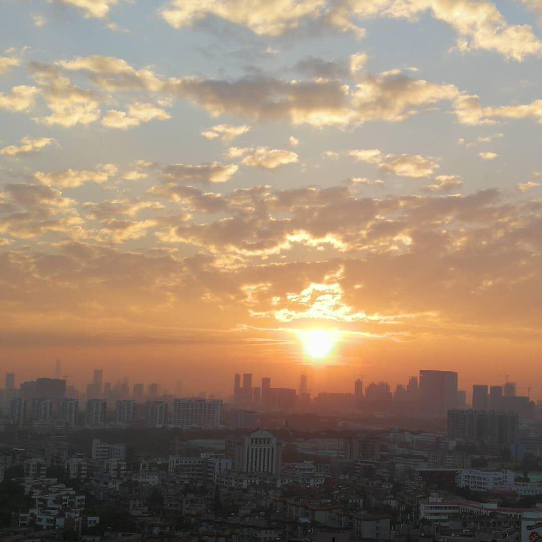 智能家居体验官头像