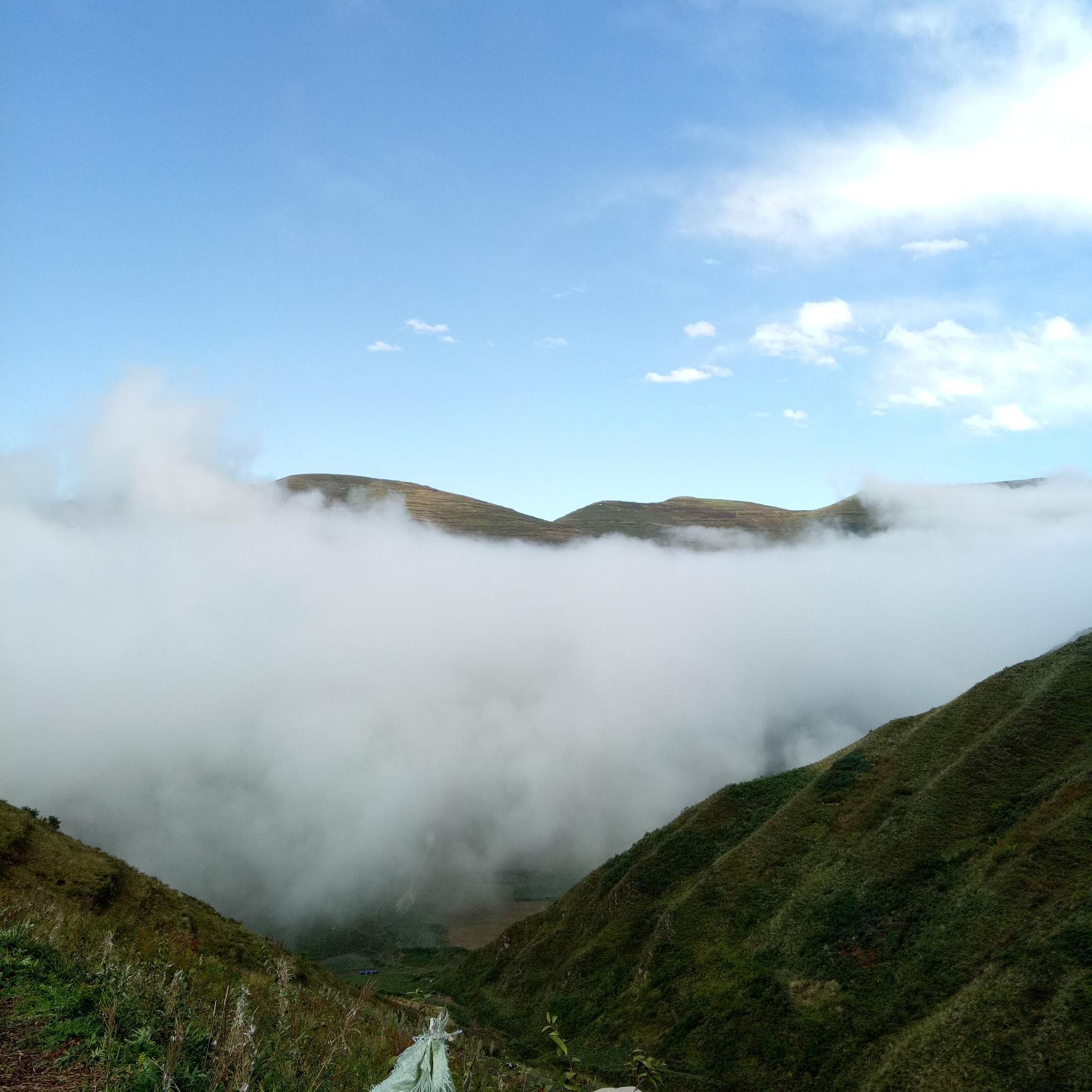 陇原志强头像