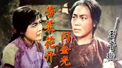 电影苦菜花歌曲原唱 西瓜视频