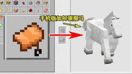 Mc驯服马用什么 西瓜视频