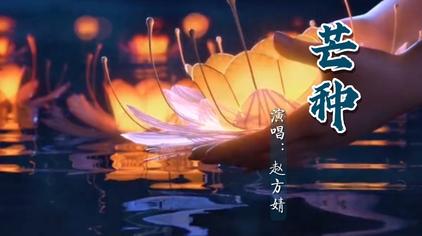 盲种歌词 西瓜视频