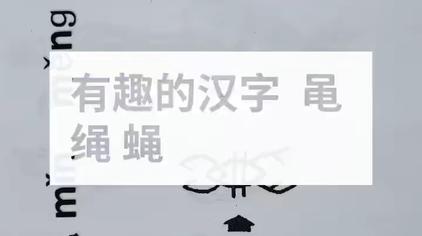 蝇的读音 西瓜视频