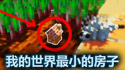 Minecraft最小的房子 西瓜视频