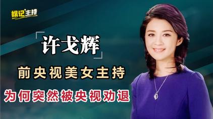 许戈辉与丁健现状 西瓜视频