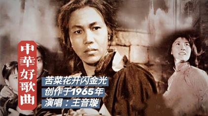 电影苦菜花插曲王音璇 西瓜视频